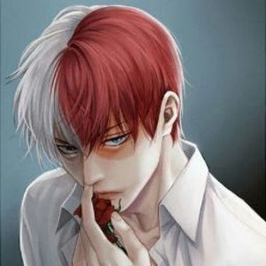 Meet your Posher, Francis